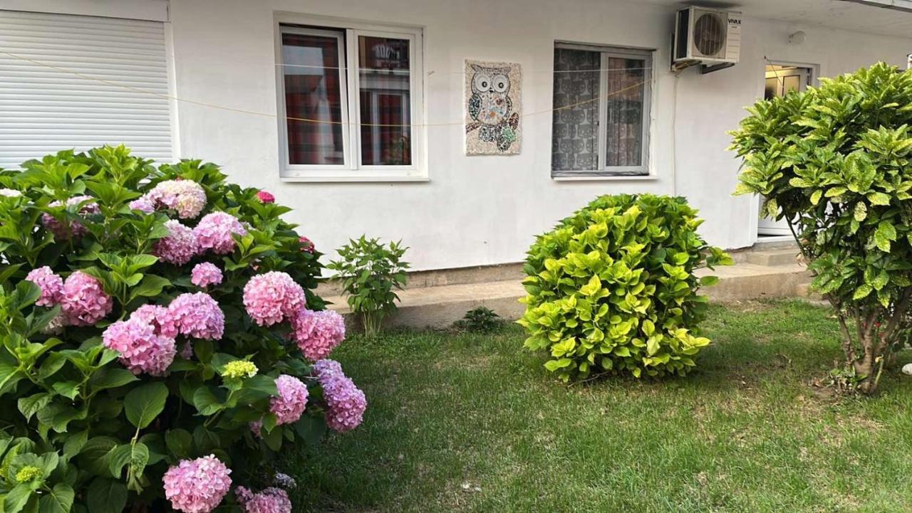Apartment Aleksandra Bar Kültér fotó